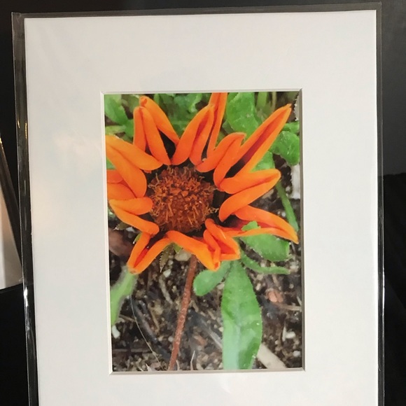 Art Photography - Picture 2 of 3